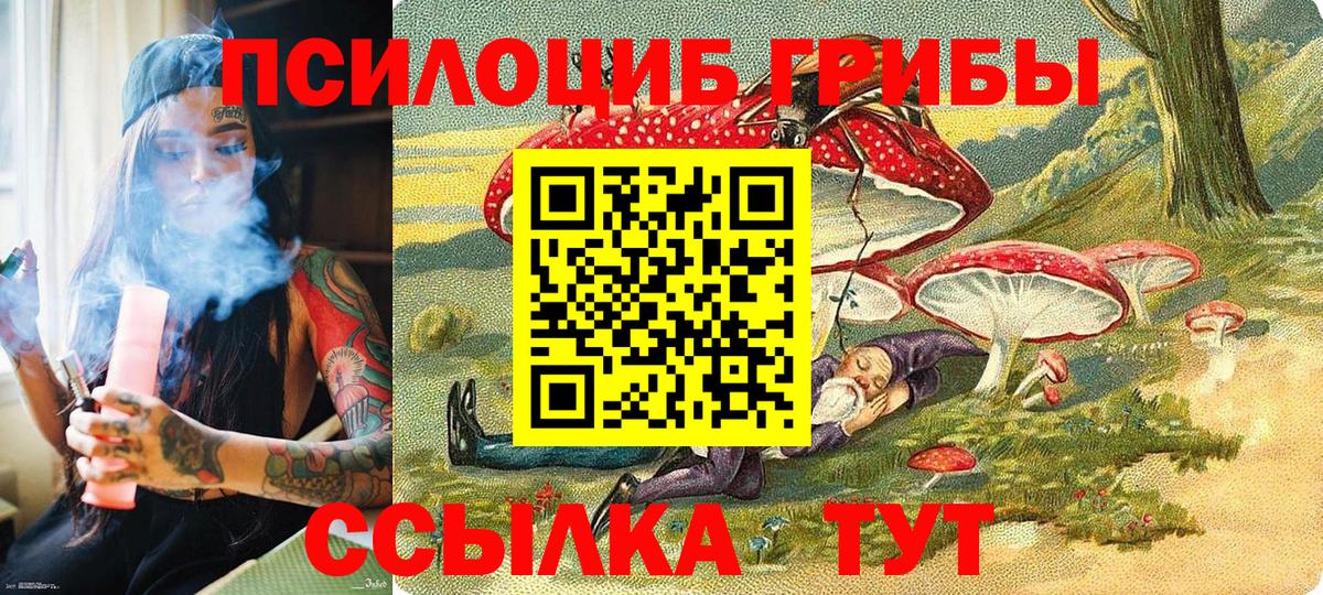 Псилоцибиновые грибы мицелий  что такое   Галлюциногенные грибы мухоморы  Бугуруслан  Вход с VPN 